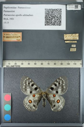 Media type: image;   Entomology 175195